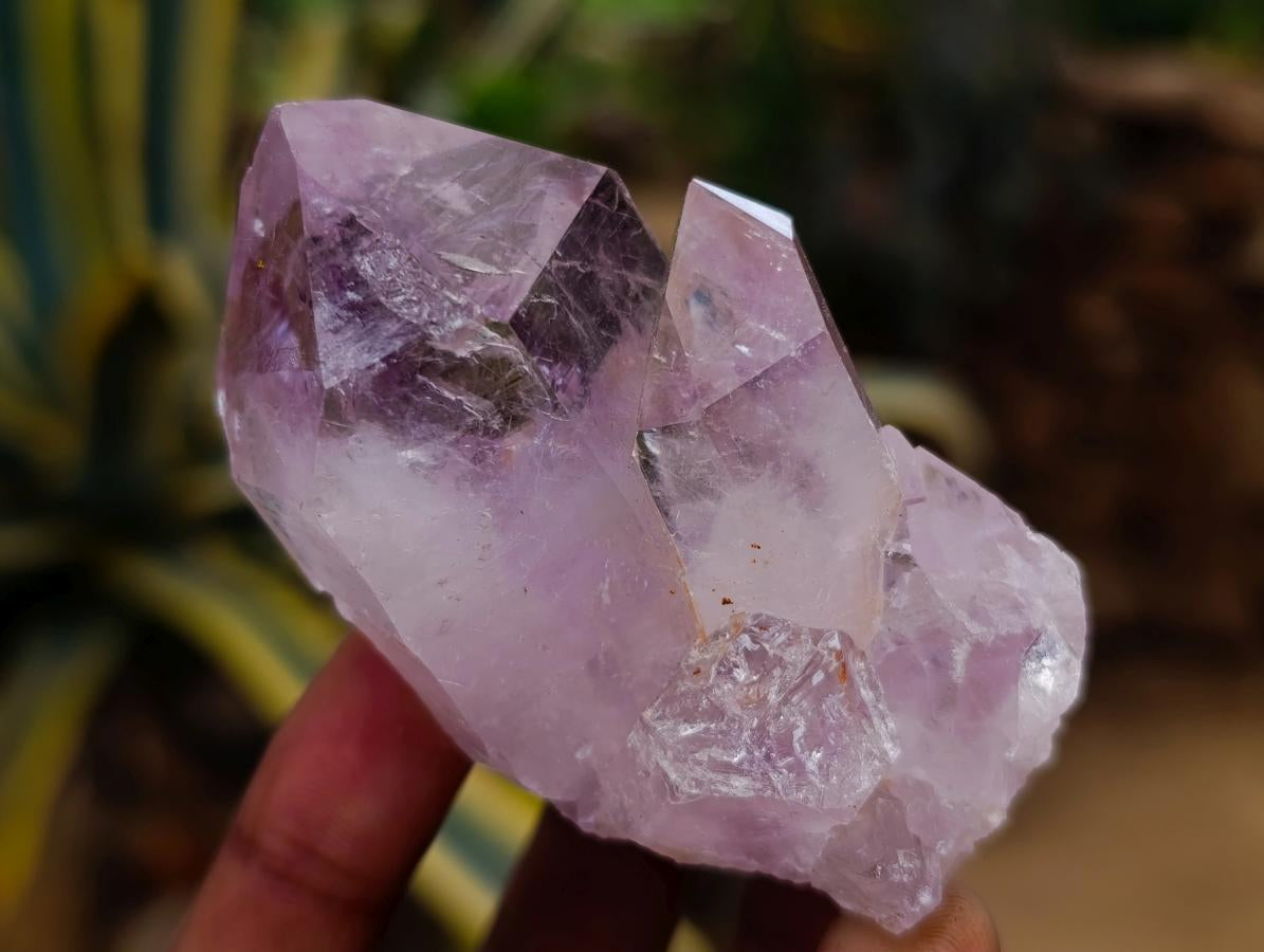 Natural Jacaranda Amethyst Crystals and Clusters x 24 From Mumbwa, Zambia