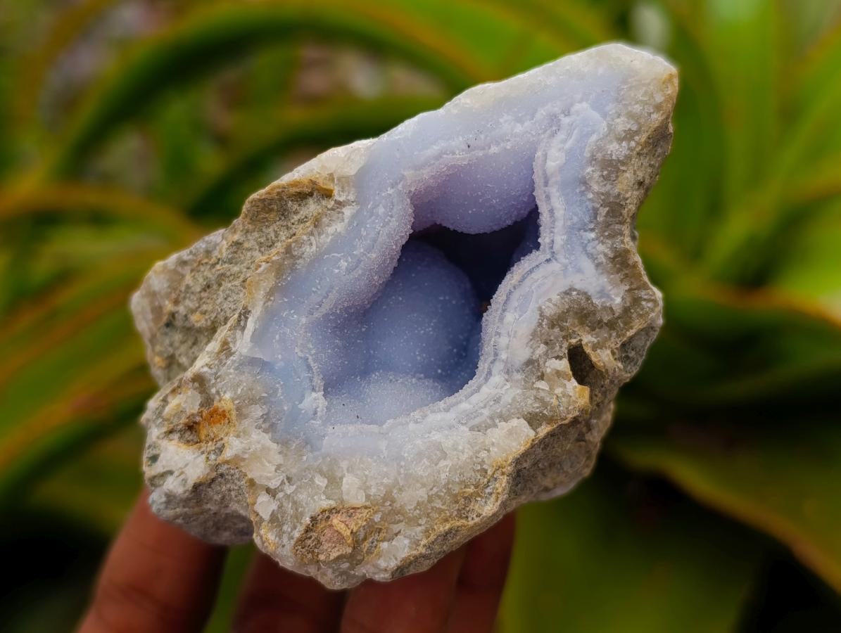 Natural Blue Lace Agate Geode Specimens x 12 From Nsanje, Malawi