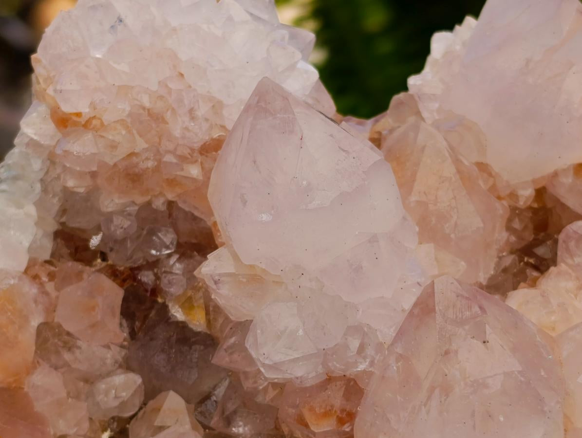 Natural Large Lilac Cactus Flower Amethyst Spirit Cluster x 1 From South Africa