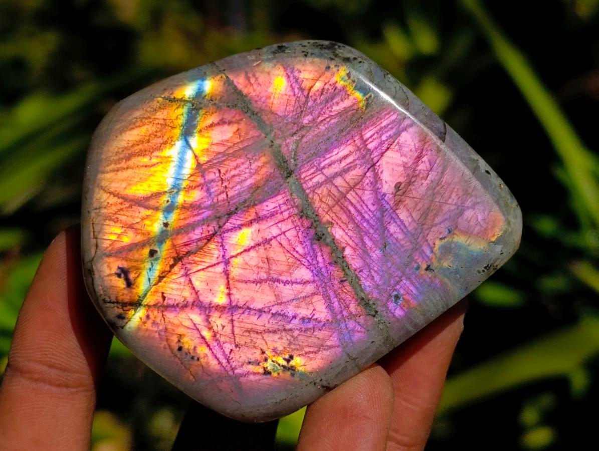 Polished Rare Purple Sunset Flash Labradorite Standing Free Form x 12 From Madagascar