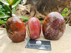 Polished Red Podocarpus Petrified Wood Standing Free Forms x 3 From Mahajanga, Madagascar - Toprock Gemstones and Minerals 