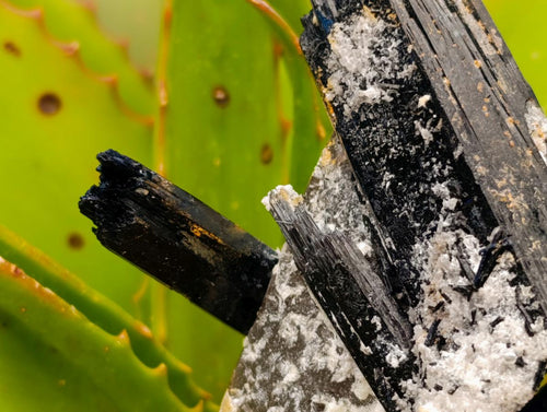 Natural Schorl Black Tourmaline Specimens x 12 From Erongo, Namibia