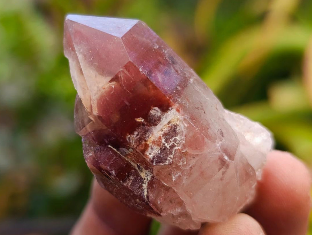 Natural Red Hematoid Quartz Crystals and Clusters x 35 From Karoi, Zimbabwe