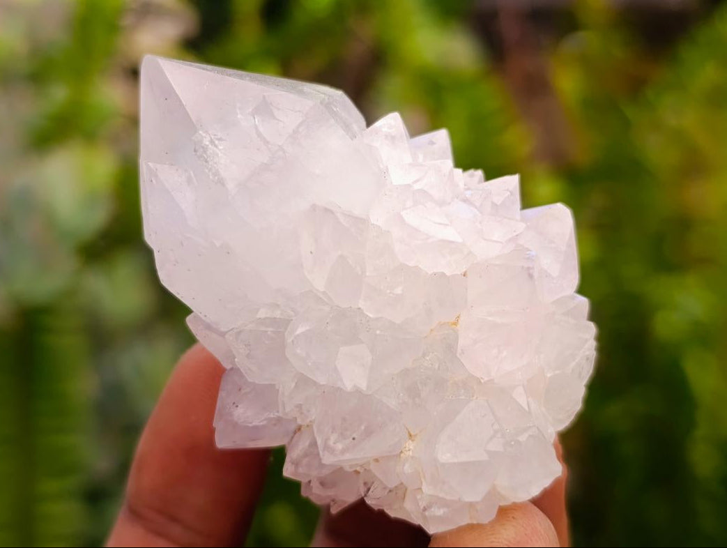 Natural Pale Lilac Cactus Flower Spirit Quartz Crystals x 24 From Boekenhouthoek, South Africa