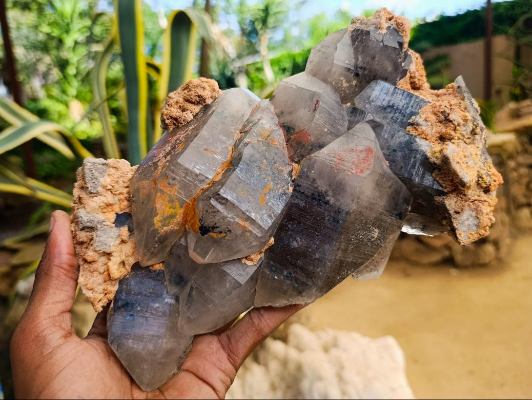 Natural Large Smokey Quartz Floater Plate Specimen with Foitite x 1 From Erongo, Namibia