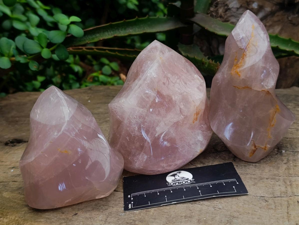 Polished Gemmy Rose Quartz Flames x 3 From Madagascar - Toprock Gemstones and Minerals 