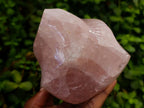 Polished Gemmy Rose Quartz Flames x 3 From Madagascar - Toprock Gemstones and Minerals 