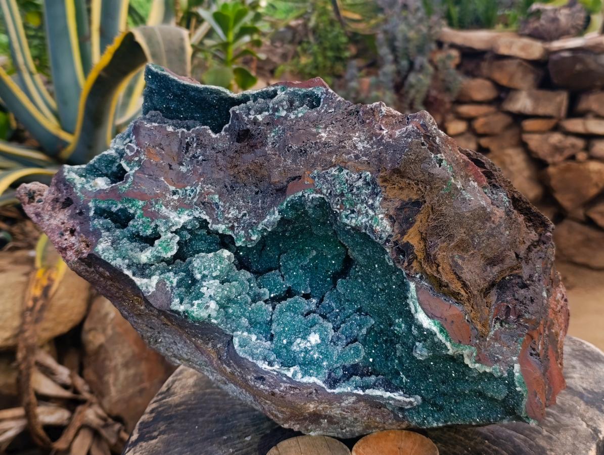 Natural XXL Drusy Quartz Coated Ball Malachite On Dolomite Specimen x 1 From Mindingi Mine, Kambove, Congo - Toprock Gemstones and Minerals 