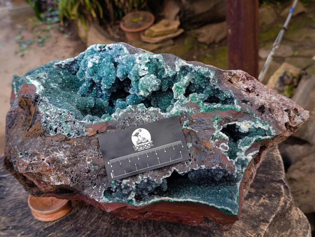 Natural XXL Drusy Quartz Coated Ball Malachite On Dolomite Specimen x 1 From Mindingi Mine, Kambove, Congo - Toprock Gemstones and Minerals 