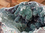Natural XXL Drusy Quartz Coated Ball Malachite On Dolomite Specimen x 1 From Mindingi Mine, Kambove, Congo - Toprock Gemstones and Minerals 