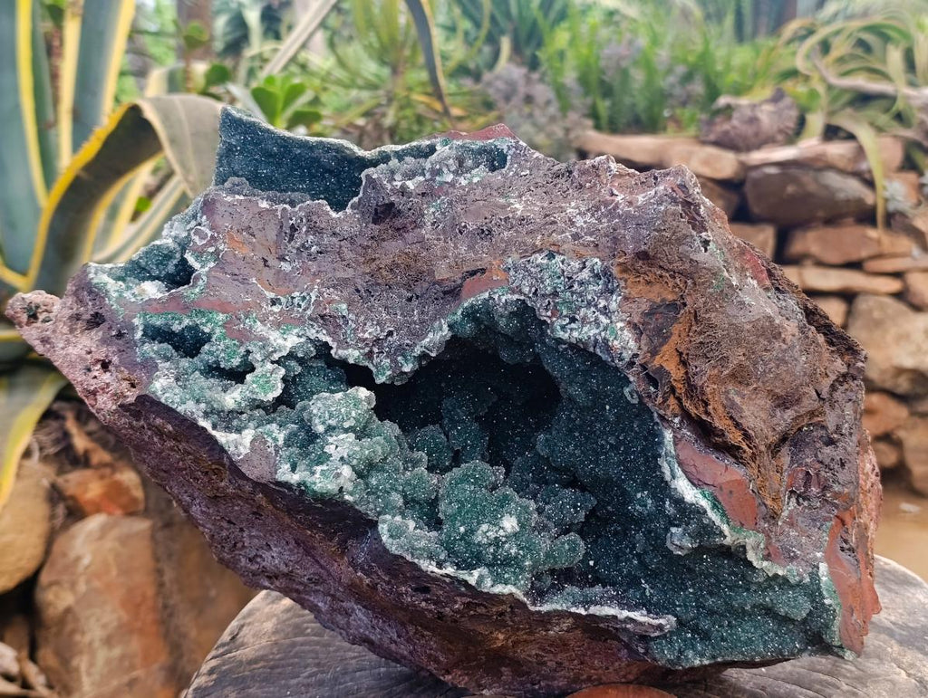 Natural XXL Drusy Quartz Coated Ball Malachite On Dolomite Specimen x 1 From Mindingi Mine, Kambove, Congo - Toprock Gemstones and Minerals 