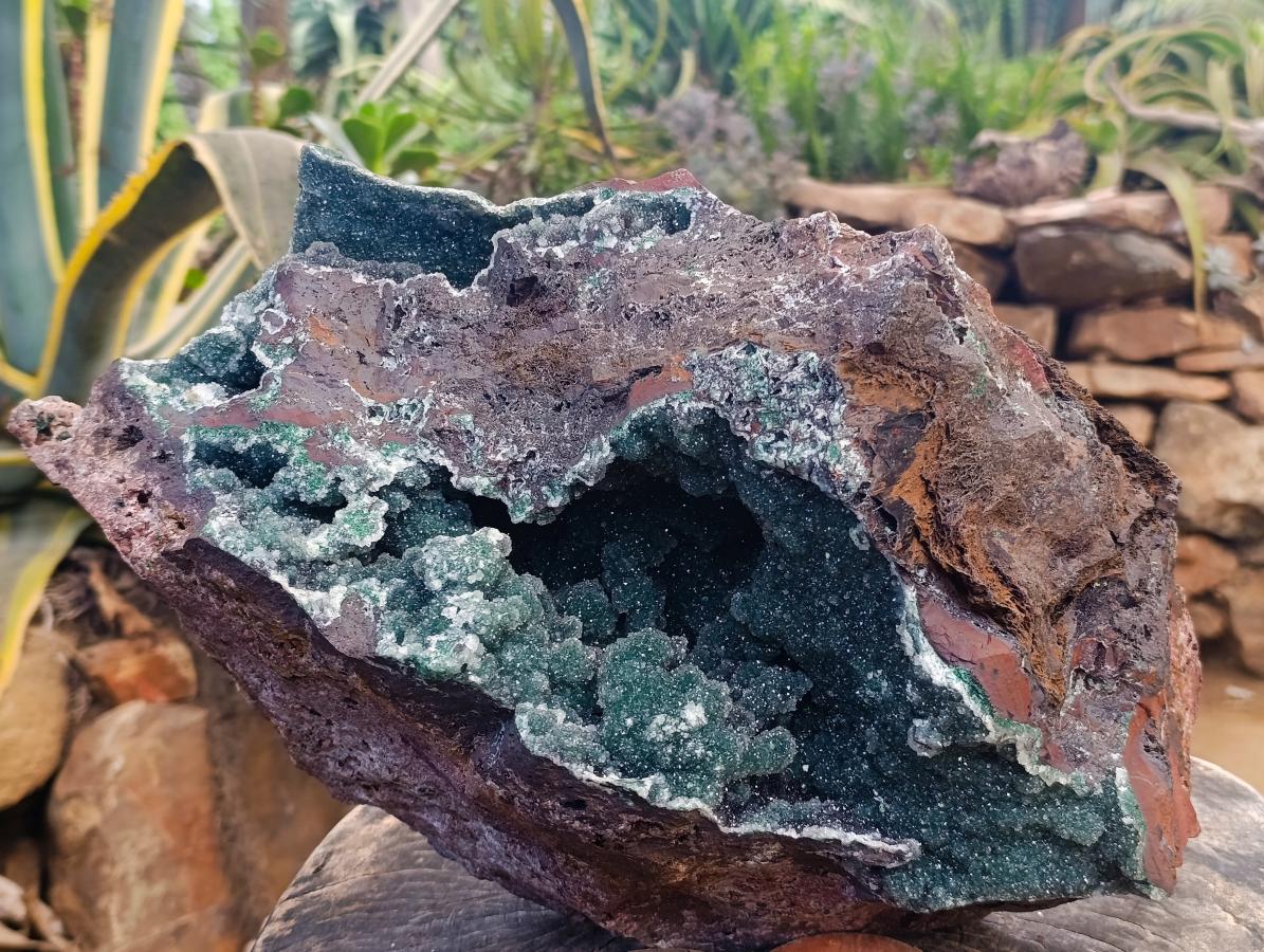 Natural XXL Drusy Quartz Coated Ball Malachite On Dolomite Specimen x 1 From Mindingi Mine, Kambove, Congo - Toprock Gemstones and Minerals 
