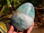 Polished Green Fluorite Standing Free Forms x 3 From Madagascar - Toprock Gemstones and Minerals 