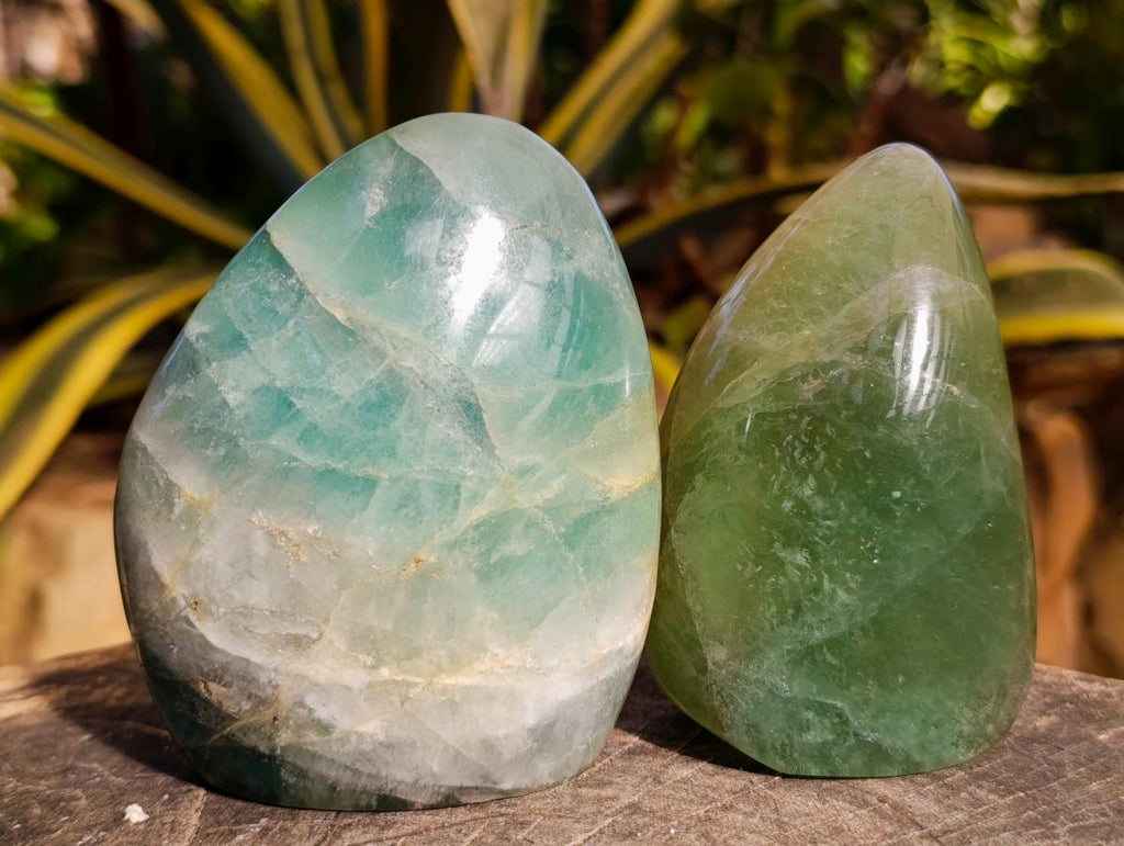 Polished Green Fluorite Standing Free Forms x 3 From Madagascar - Toprock Gemstones and Minerals 