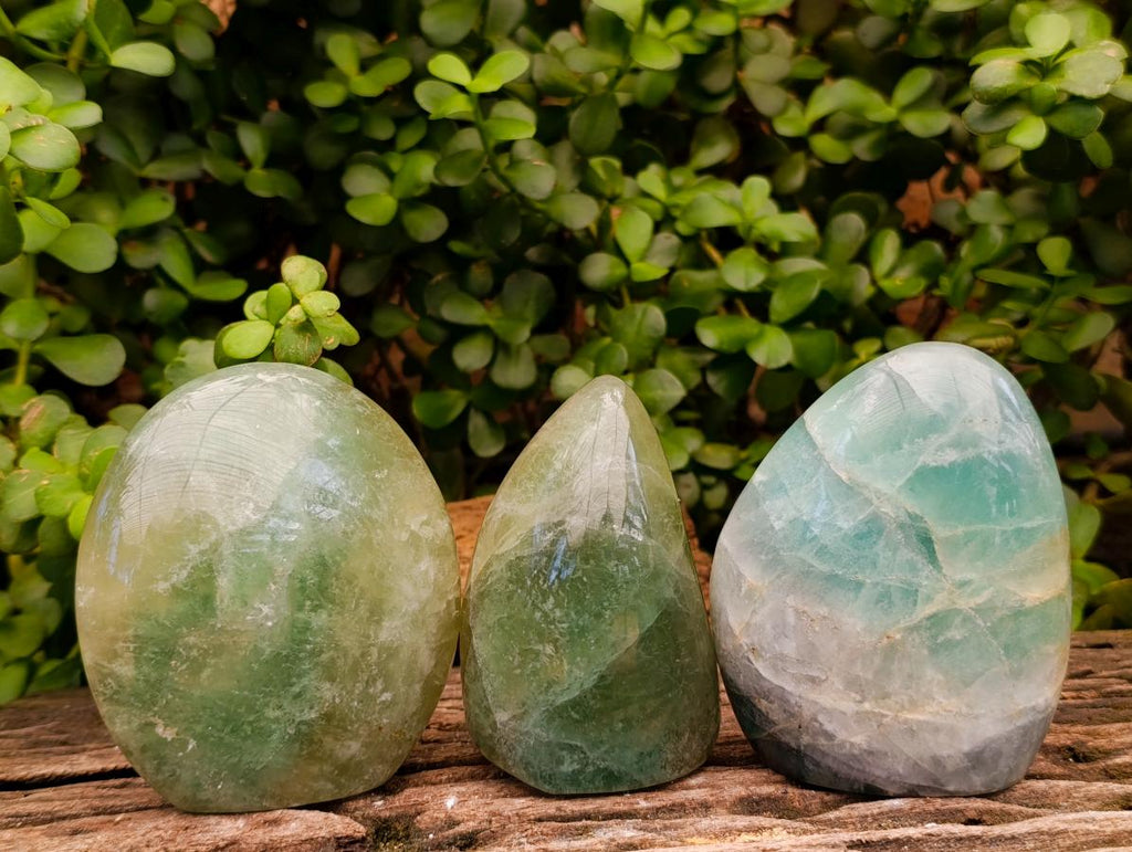 Polished Green Fluorite Standing Free Forms x 3 From Madagascar - Toprock Gemstones and Minerals 
