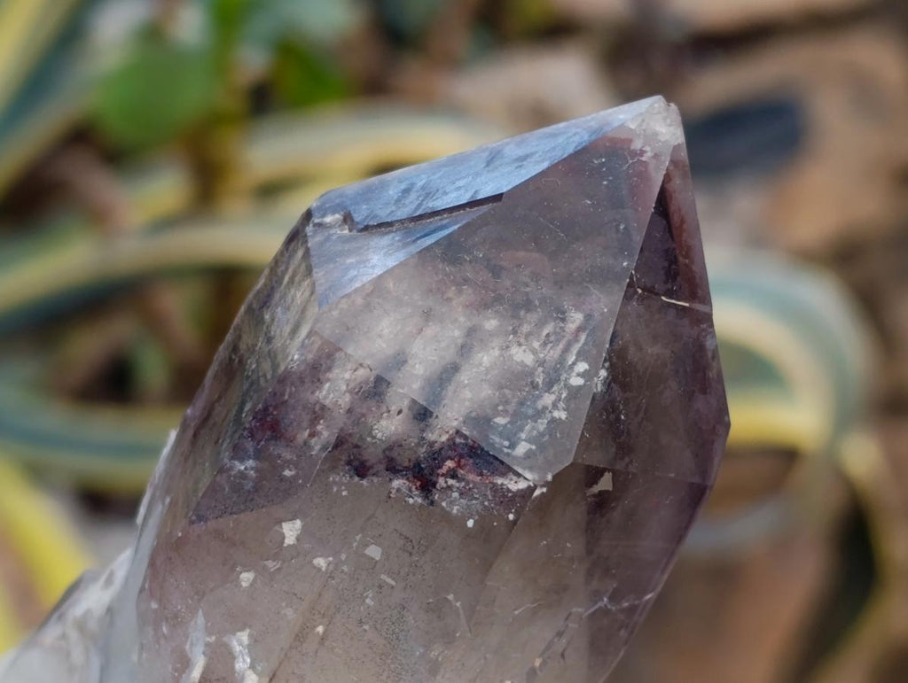 Natural Red Hematoid Quartz Crystals x 6 From Karoi, Zimbabwe - Toprock Gemstones and Minerals 