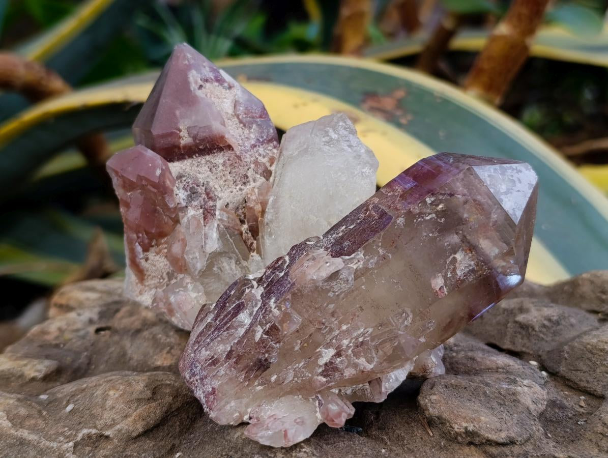 Natural Red Hematoid Quartz Crystals x 6 From Karoi, Zimbabwe - Toprock Gemstones and Minerals 