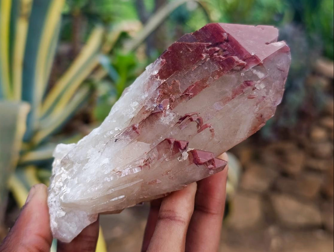 Natural Red Hematoid Quartz Crystals x 6 From Karoi, Zimbabwe