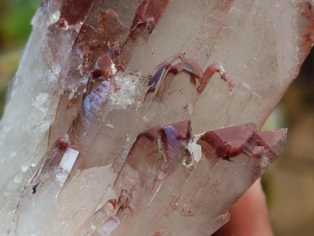 Natural Red Hematoid Quartz Crystals x 6 From Karoi, Zimbabwe - Toprock Gemstones and Minerals 