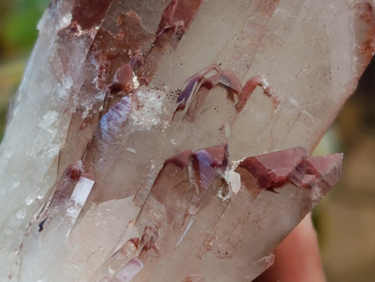 Natural Red Hematoid Quartz Crystals x 6 From Karoi, Zimbabwe - Toprock Gemstones and Minerals 