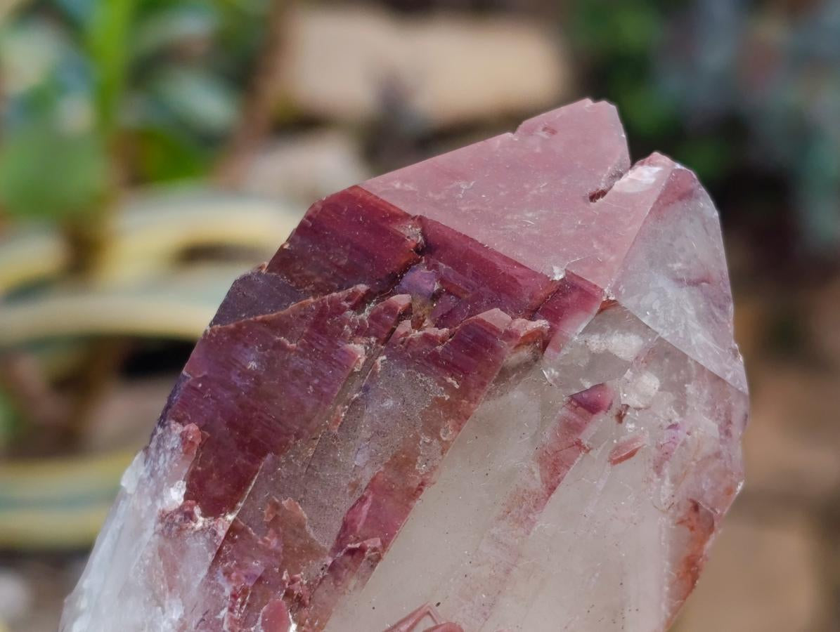 Natural Red Hematoid Quartz Crystals x 6 From Karoi, Zimbabwe - Toprock Gemstones and Minerals 
