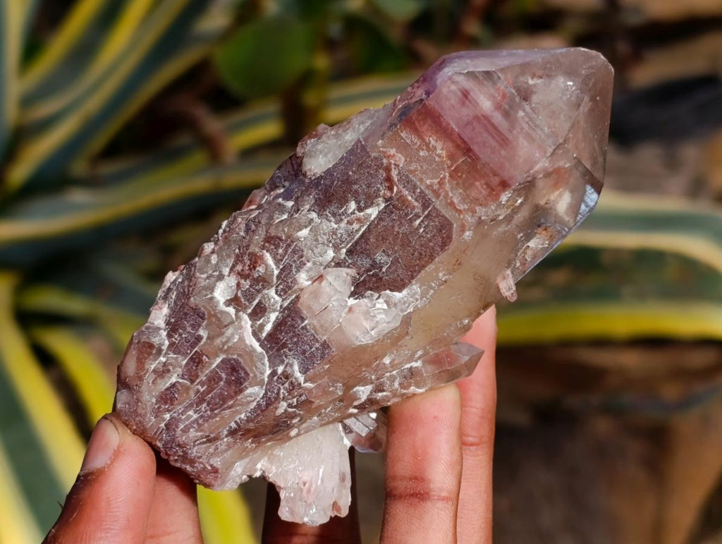 Natural Red Hematoid Quartz Crystals x 6 From Karoi, Zimbabwe - Toprock Gemstones and Minerals 