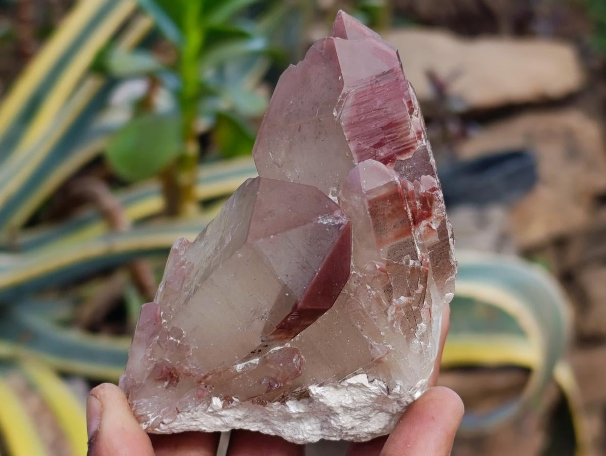 Natural Red Hematoid Quartz Crystals x 6 From Karoi, Zimbabwe - Toprock Gemstones and Minerals 