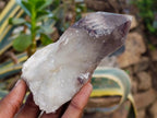 Natural Red Hematoid Quartz Crystals x 6 From Karoi, Zimbabwe - Toprock Gemstones and Minerals 
