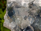 Natural Large Blue Celestite Specimen x 1 From Sakoany, Madagascar - Toprock Gemstones and Minerals 