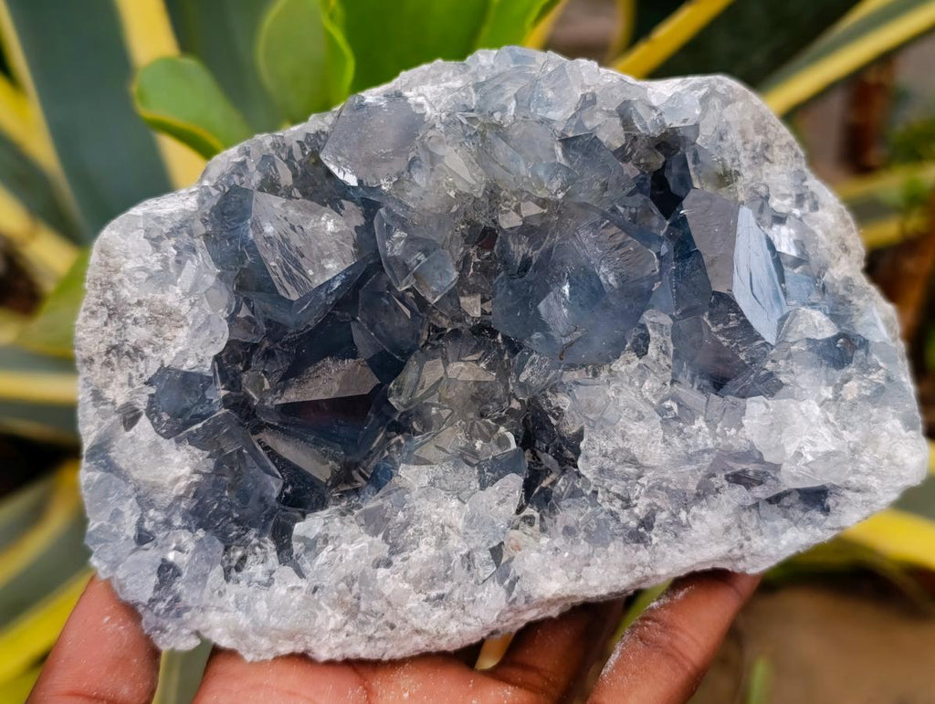 Natural Large Blue Celestite Specimen x 1 From Sakoany, Madagascar - Toprock Gemstones and Minerals 