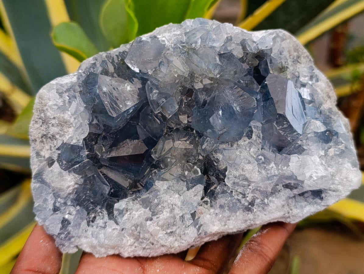 Natural Large Blue Celestite Specimen x 1 From Sakoany, Madagascar - Toprock Gemstones and Minerals 