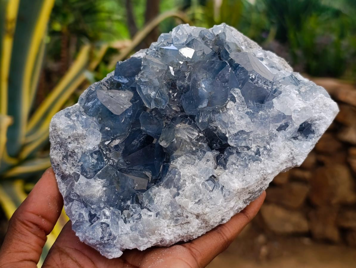 Natural Large Blue Celestite Specimen x 1 From Sakoany, Madagascar