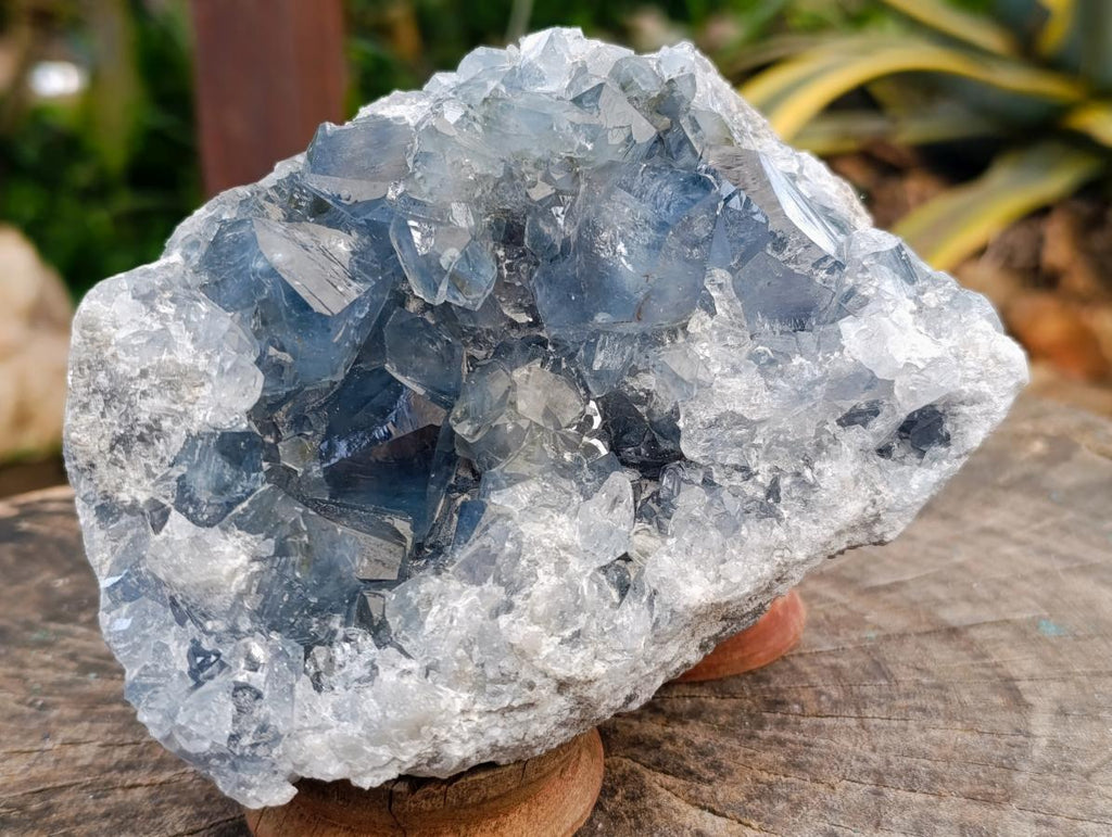 Natural Large Blue Celestite Specimen x 1 From Sakoany, Madagascar - Toprock Gemstones and Minerals 