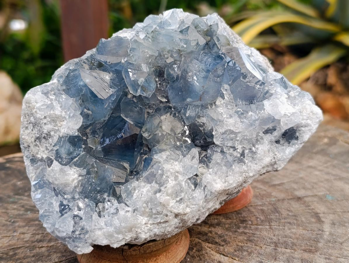 Natural Large Blue Celestite Specimen x 1 From Sakoany, Madagascar - Toprock Gemstones and Minerals 