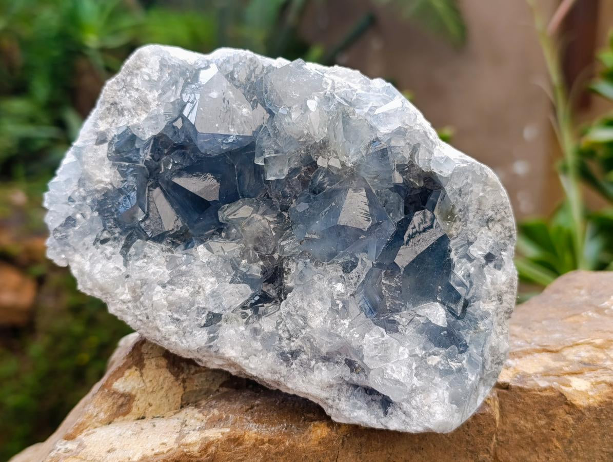 Natural Large Blue Celestite Specimen x 1 From Sakoany, Madagascar - Toprock Gemstones and Minerals 