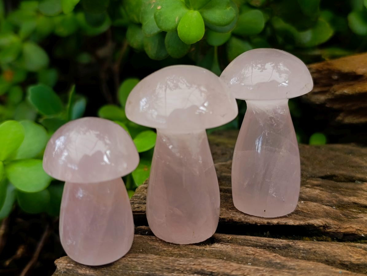 Polished Gemmy Rose Quartz Mushrooms x 20 From Madagascar