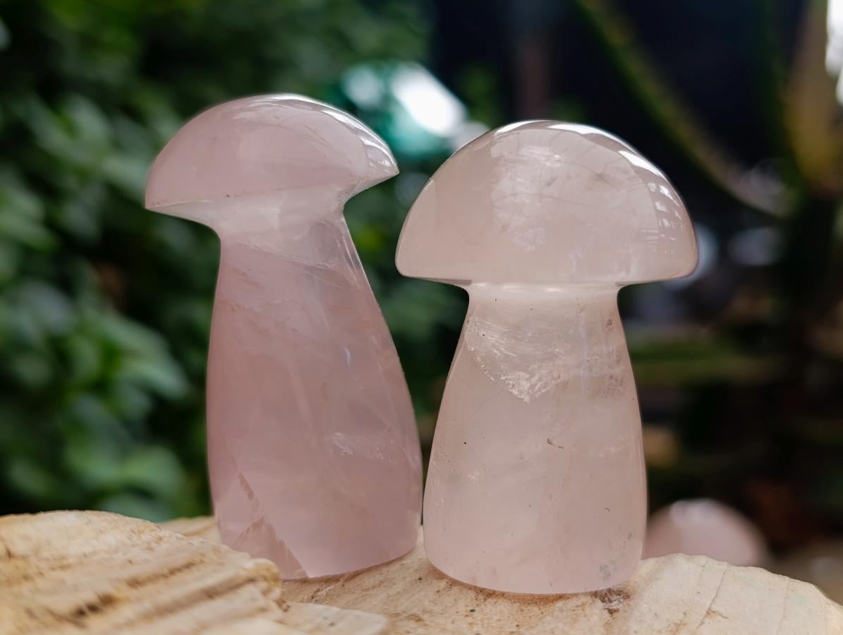 Polished Gemmy Rose Quartz Mushrooms x 20 From Madagascar - Toprock Gemstones and Minerals 