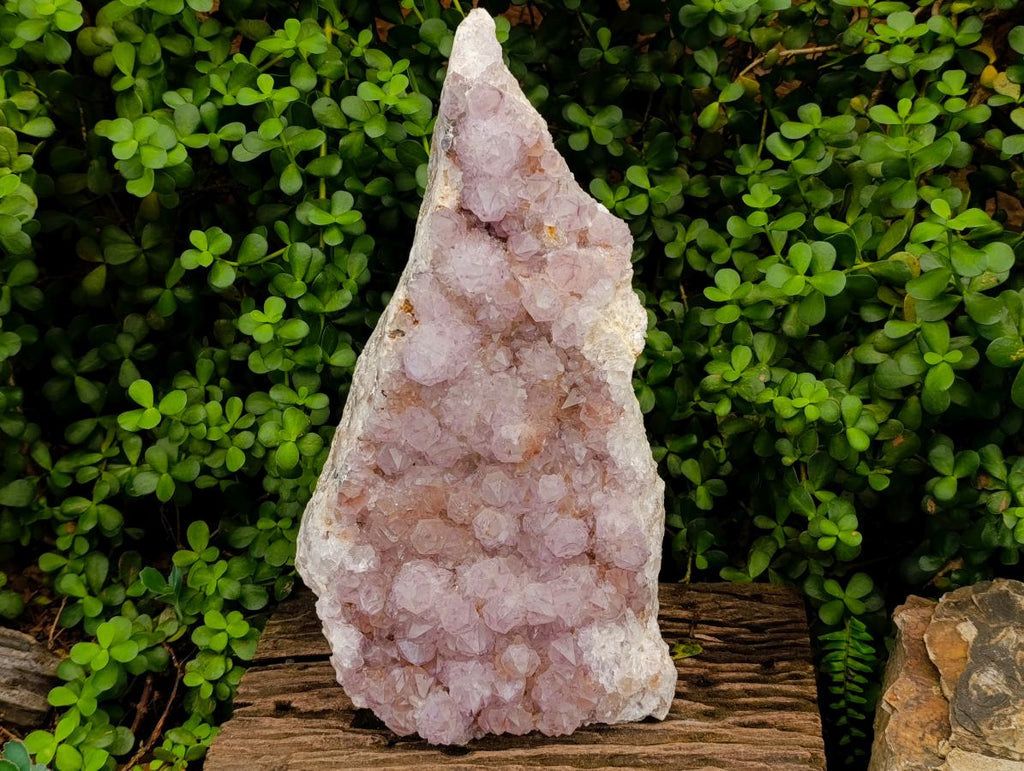 Natural XL Sunburst Amethyst Spirit Cluster x 1 From Boekenhouthoek, South Africa - Toprock Gemstones and Minerals 