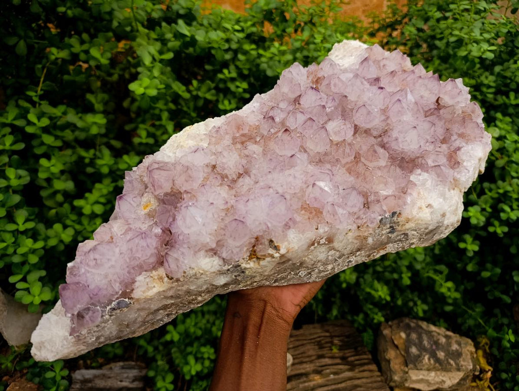 Natural XL Sunburst Amethyst Spirit Cluster x 1 From Boekenhouthoek, South Africa - Toprock Gemstones and Minerals 