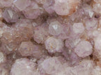 Natural XL Sunburst Amethyst Spirit Cluster x 1 From Boekenhouthoek, South Africa - Toprock Gemstones and Minerals 