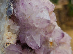 Natural XL Sunburst Amethyst Spirit Cluster x 1 From Boekenhouthoek, South Africa - Toprock Gemstones and Minerals 