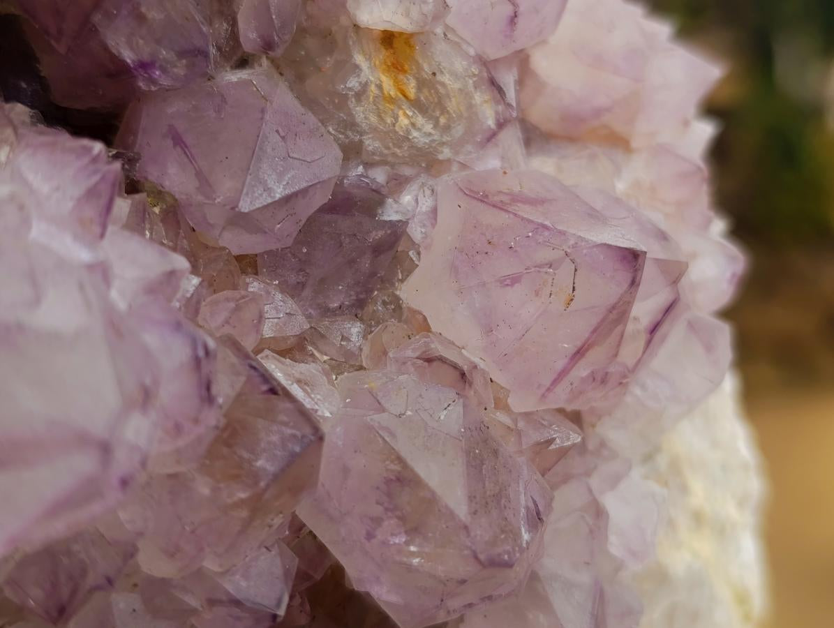 Natural XL Sunburst Amethyst Spirit Cluster x 1 From Boekenhouthoek, South Africa