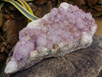 Natural XL Sunburst Amethyst Spirit Cluster x 1 From Boekenhouthoek, South Africa - Toprock Gemstones and Minerals 