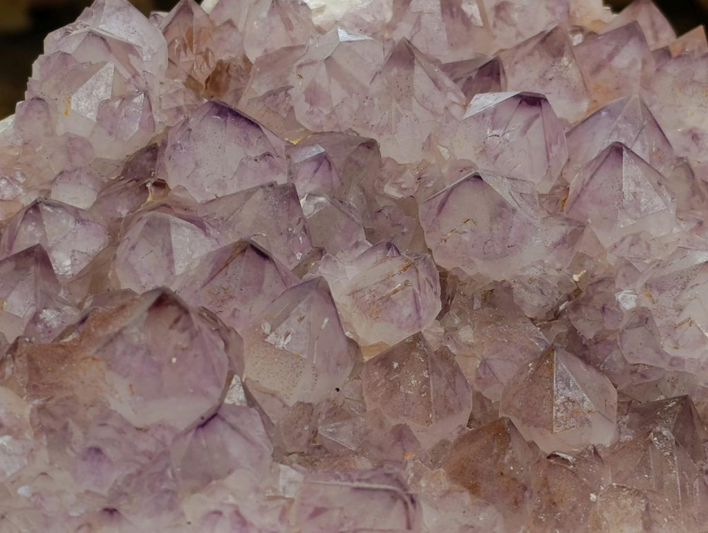 Natural XL Sunburst Amethyst Spirit Cluster x 1 From Boekenhouthoek, South Africa - Toprock Gemstones and Minerals 