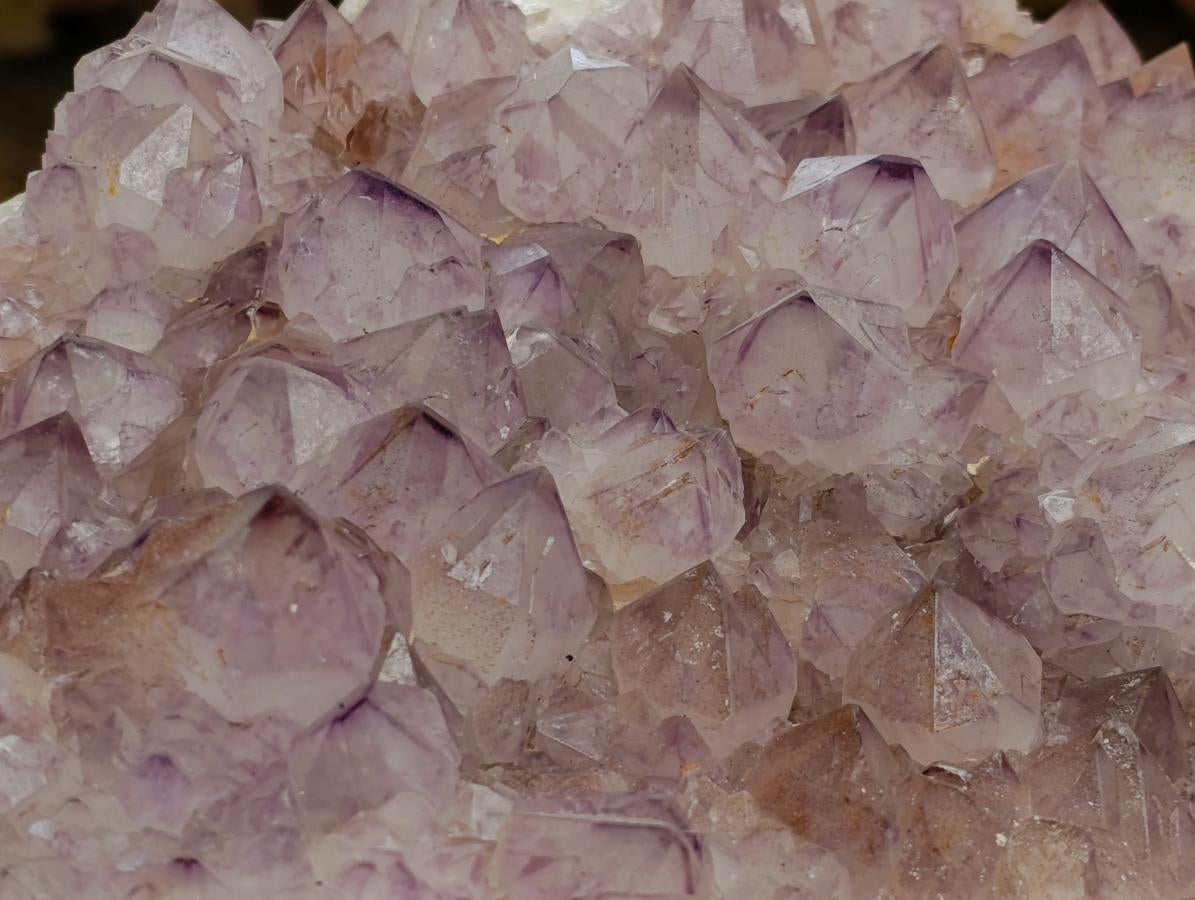 Natural XL Sunburst Amethyst Spirit Cluster x 1 From Boekenhouthoek, South Africa - Toprock Gemstones and Minerals 