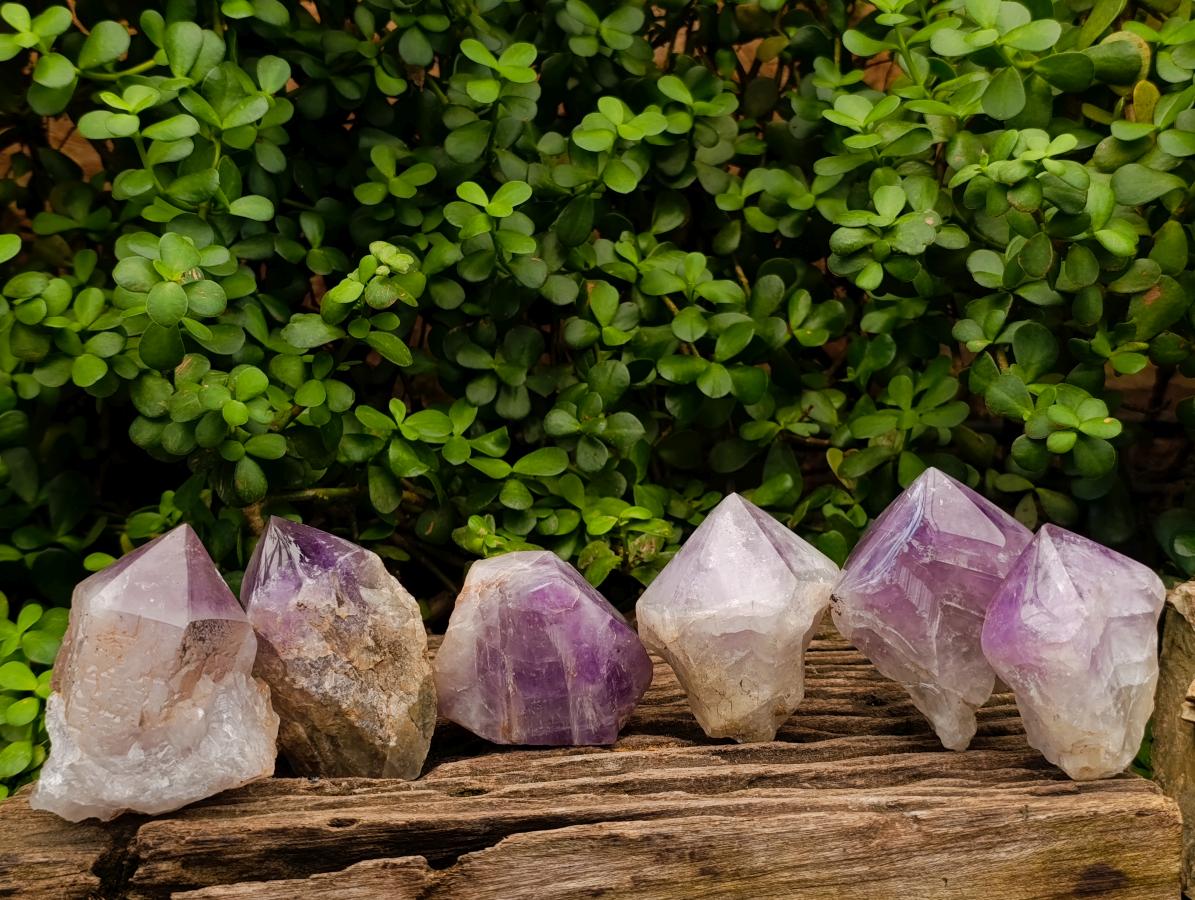 Polished Jacaranda Amethyst Crystals x 6 From Mumbwa, Zambia - Toprock Gemstones and Minerals 