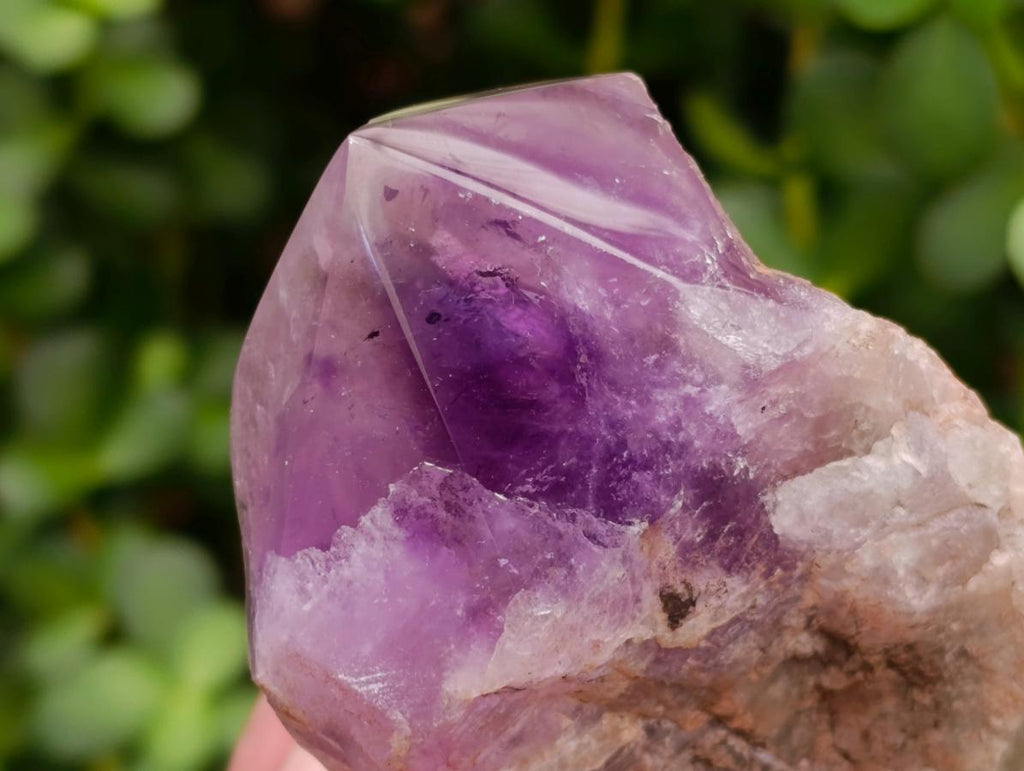 Polished Jacaranda Amethyst Crystals x 6 From Mumbwa, Zambia - Toprock Gemstones and Minerals 