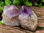 Polished Jacaranda Amethyst Crystals x 6 From Mumbwa, Zambia - Toprock Gemstones and Minerals 