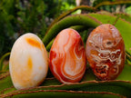 Polished Carnelian Agate Gemstone Galets x 12 From Madagascar