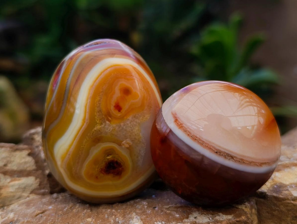 Polished Carnelian Agate Gemstone Galets x 12 From Madagascar